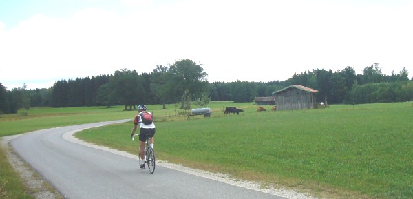 am Sylvensteinspeicher