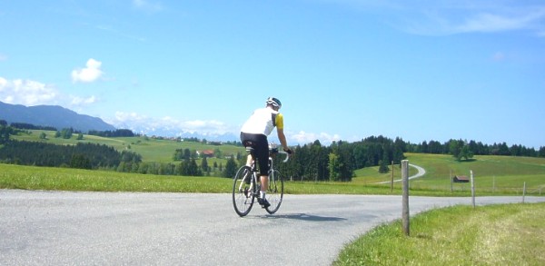 Alpenpanorama