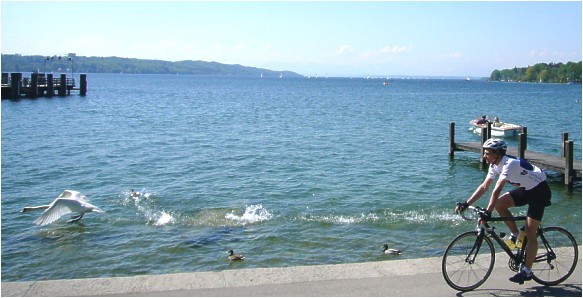 Starnberger See