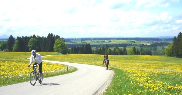 beim Auerberg